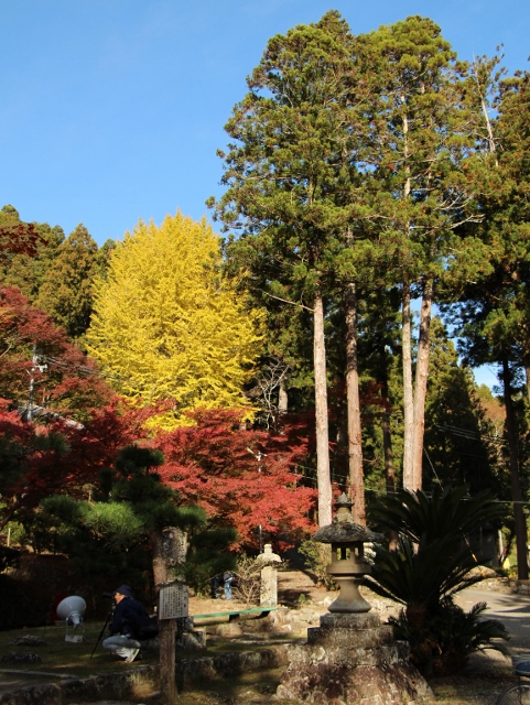 大洞院の紅葉
