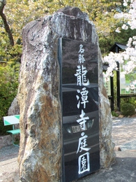龍潭寺　桜13’