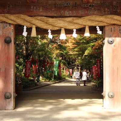 油山寺の紅葉