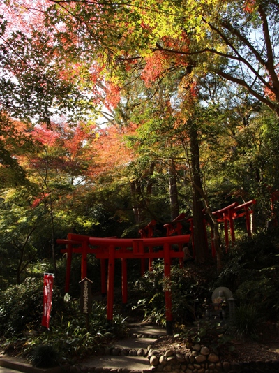 油山寺の紅葉