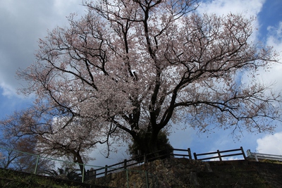 橘逸勢神社