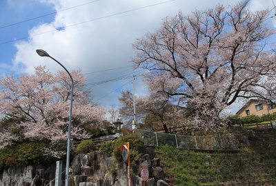 橘逸勢神社