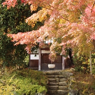 法泉寺の紅葉