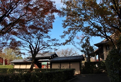 万葉の森紅葉