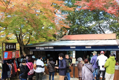 紅葉ライブ