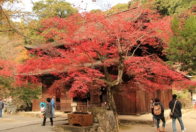 定光寺紅葉