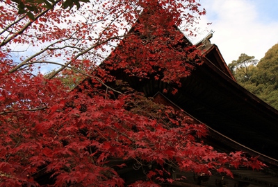 定光寺紅葉