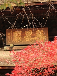 定光寺紅葉