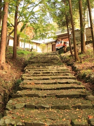 定光寺紅葉