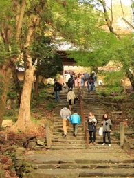 定光寺紅葉
