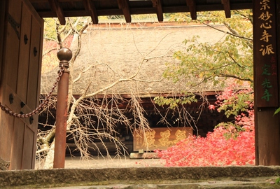 定光寺紅葉