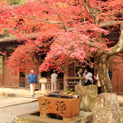 定光寺紅葉