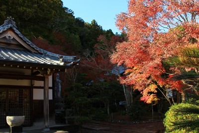 法泉寺の紅葉