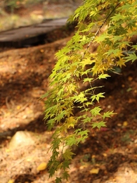森林公園続き