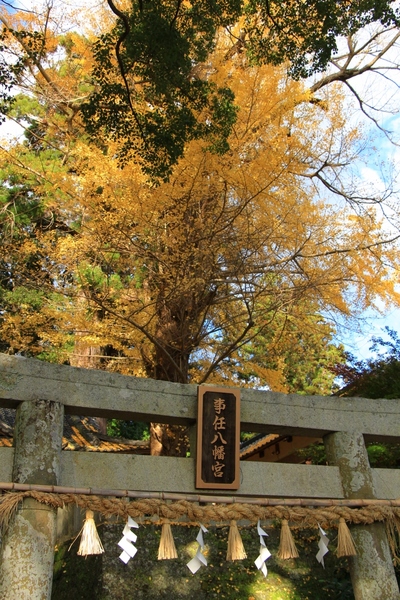 事任八幡宮の紅葉