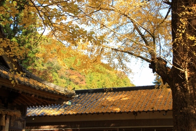 事任八幡宮の紅葉