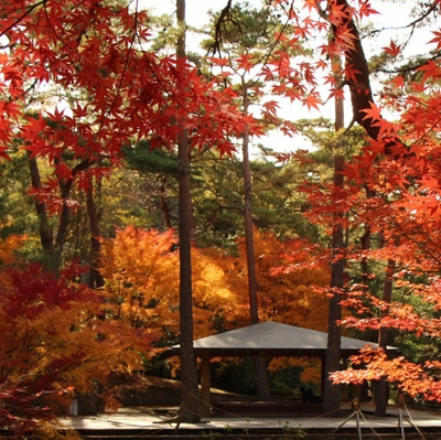 浜北森林公園