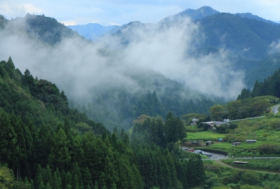 四谷「千枚棚田」