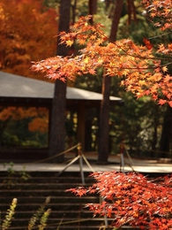 森林公園続き