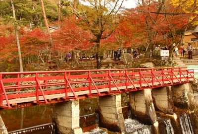岩屋堂の太鼓橋