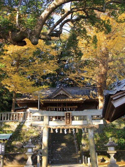 事任八幡宮の紅葉