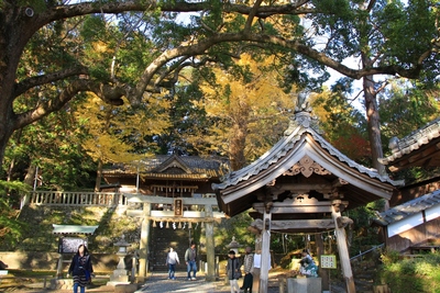 事任八幡宮の紅葉