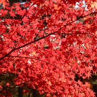 森林公園続き