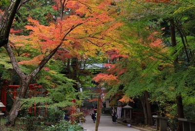 ２度目の油山寺