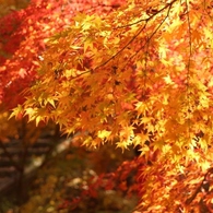 森林公園続き