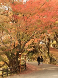 岩屋堂の太鼓橋