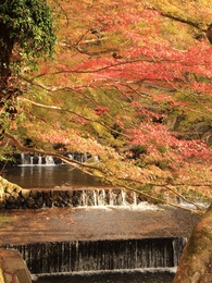 岩屋堂の太鼓橋