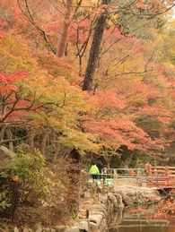 岩屋堂の太鼓橋