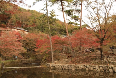 岩屋堂の太鼓橋