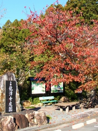 龍潭寺の紅葉