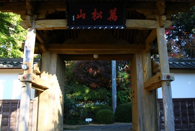 龍潭寺の紅葉