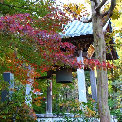 龍潭寺の紅葉
