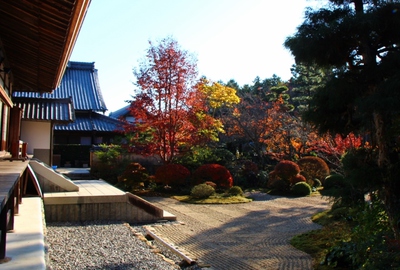 龍潭寺の紅葉