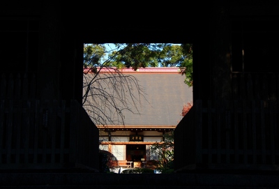 龍潭寺の紅葉