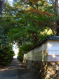 龍潭寺の紅葉