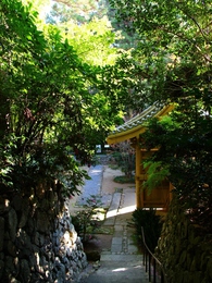龍潭寺の紅葉