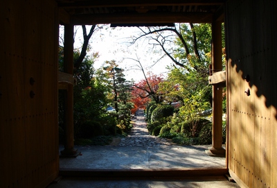 龍潭寺の紅葉