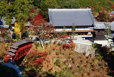 亀背橋と紅葉