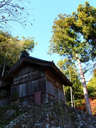 亀背橋と紅葉