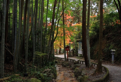 ２度目の油山寺