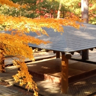 舞台と紅葉