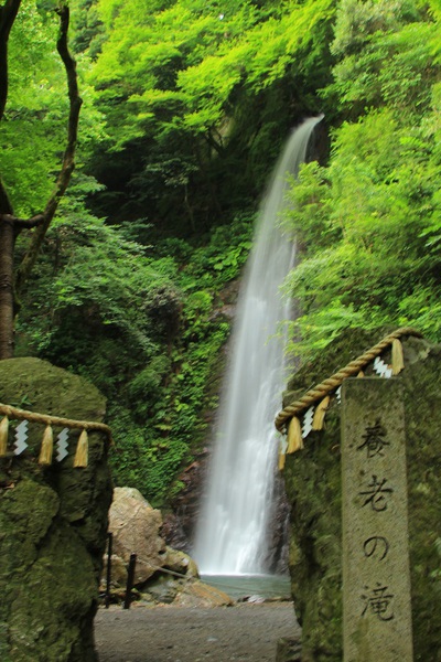 清涼≪養老乃滝≫
