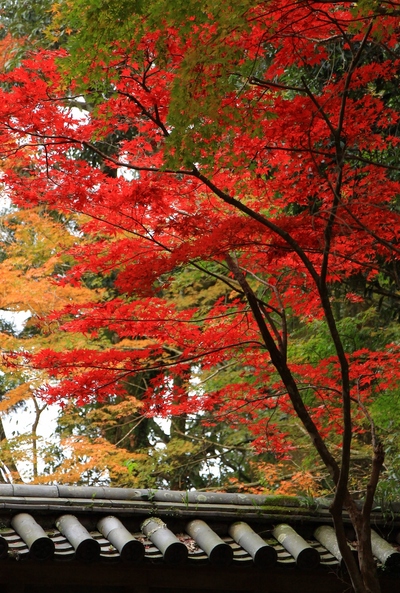 ２度目の油山寺