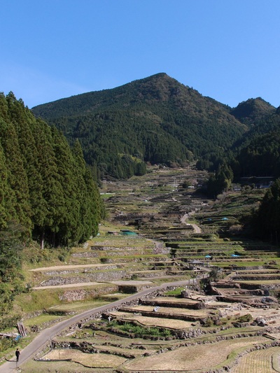 四谷千枚棚田