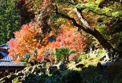 方広寺の紅葉