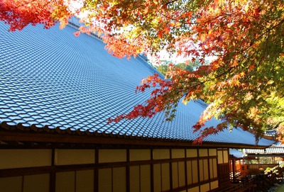 方広寺の紅葉